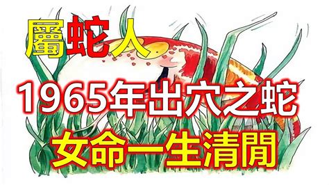 1965属相|1965属什么生肖属相？解析1965年乙巳蛇年的人性格特点及发展。